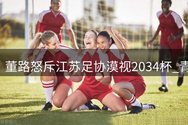 董路怒斥江苏足协漠视"2034杯" 青少年足球盛宴遭遇冷处理
